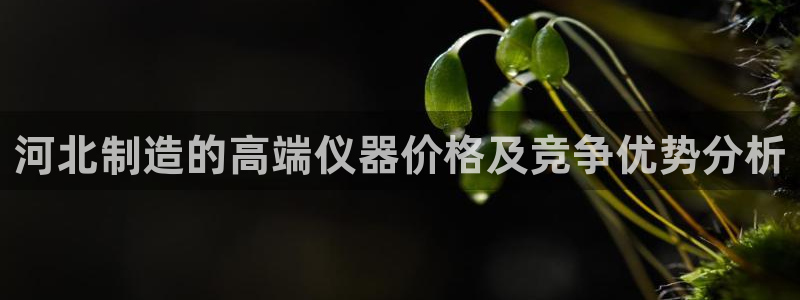 意昂3集团E.ON