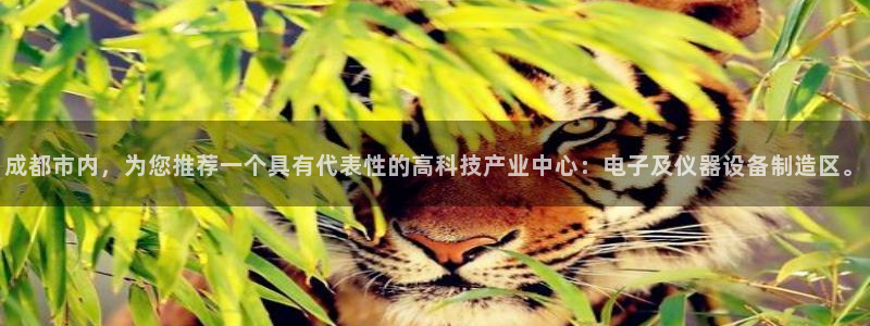 意昂体育3招商电话是多少号码：成都市内，为您推荐一个具有代表