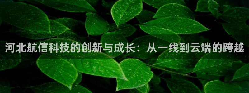 意昂3娱乐首页网站大全：河北航信科技的创新与成长：从一线到云