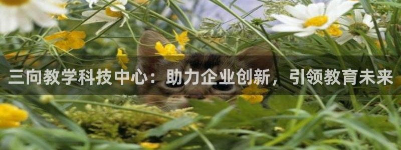 意昂体育3平台是正规平台吗：三向教学科技中心：助力企业创新，