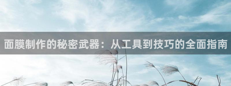 注册意昂3：面膜制作的秘密武器：从工具到技巧的全面指南