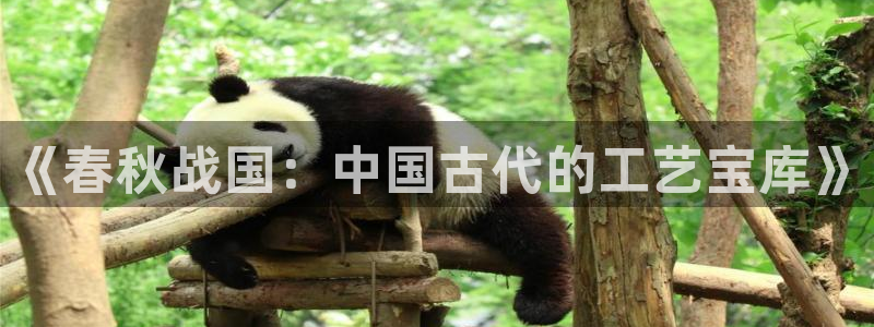 意昂3科技：《春秋战国：中国古代的工艺宝库》