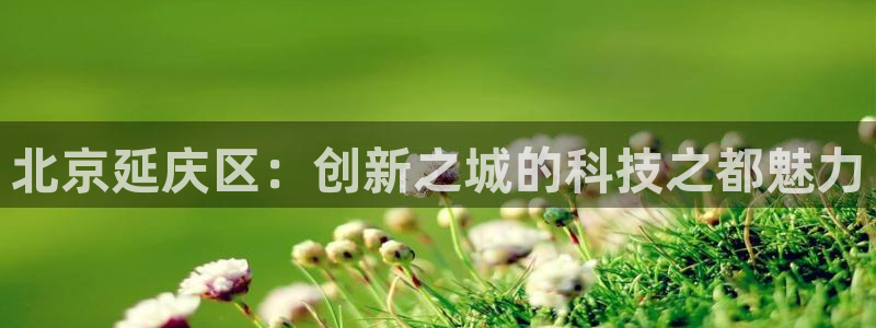 意昂3娱乐下载：北京延庆区：创新之城的科技之都魅力