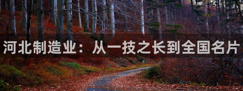 意昂体育3平台假的吗是真的吗吗：河北制造业：从一技之长到全国