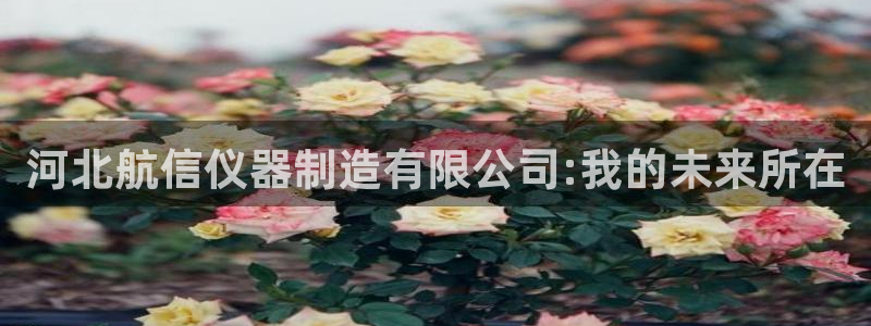 意昂3神州：河北航信仪器制造有限公司:我的未来所在