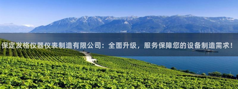 意昂3娱乐：保定发格仪器仪表制造有限公司：全面升级，服务保障