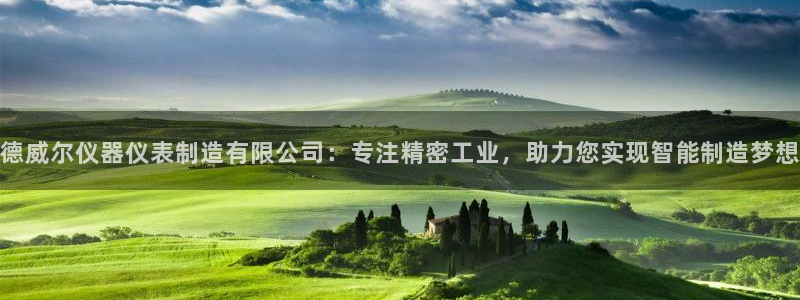 意昂体育3平台假的吗是真的吗：德威尔仪器仪表制造有限公司：专