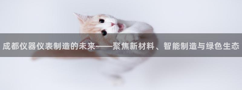 意昂体育3招商电话是多少号码：成都仪器仪表制造的未来——聚焦