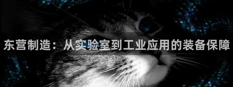 意昂体育3招商电话地址：东营制造：从实验室到工业应用的装备保