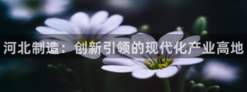 意昂体育3招商电话地址：河北制造：创新引领的现代化产业高地