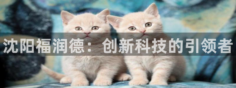 意昂体育3联系电话：沈阳福润德：创新科技的引领者