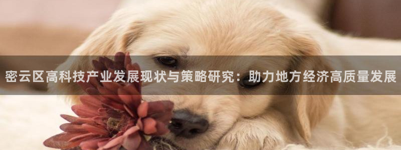 意昂体育3平台：密云区高科技产业发展现状与策略研究：助力地方