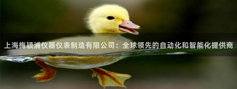 意昂集团官网：上海梅颖浦仪器仪表制造有限公司：全球领先的自动