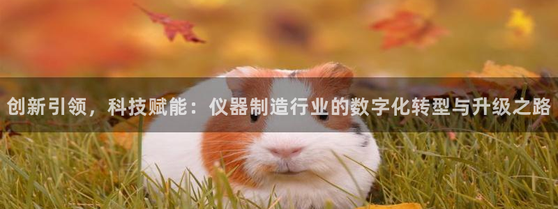 意昂体育3平台注册：创新引领，科技赋能：仪器制造行业的数字化