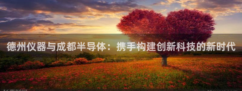 意昂平台体育：德州仪器与成都半导体：携手构建创新科技的新时代