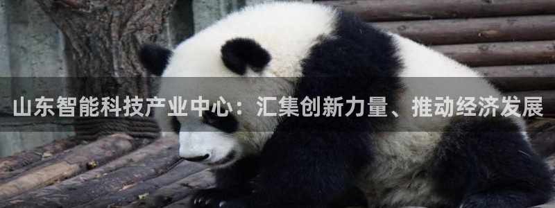 意昂3娱乐平台：山东智能科技产业中心：汇集创新力量、推动经济