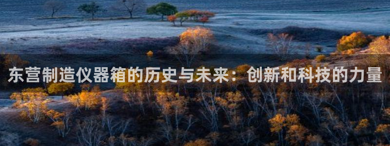 意昂体育3招商：东营制造仪器箱的历史与未来：创新和科技的力量
