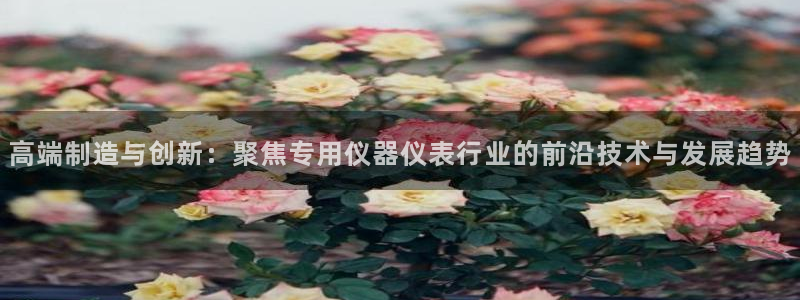 意昂体育3招商电话号码是多少：高端制造与创新：聚焦专用仪器仪