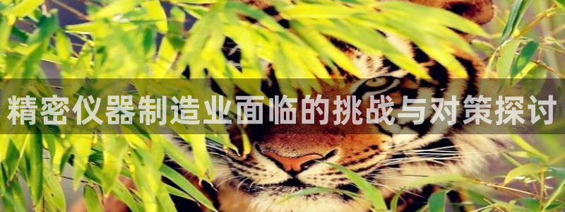 意昂体育3平台注册：精密仪器制造业面临的挑战与对策探讨