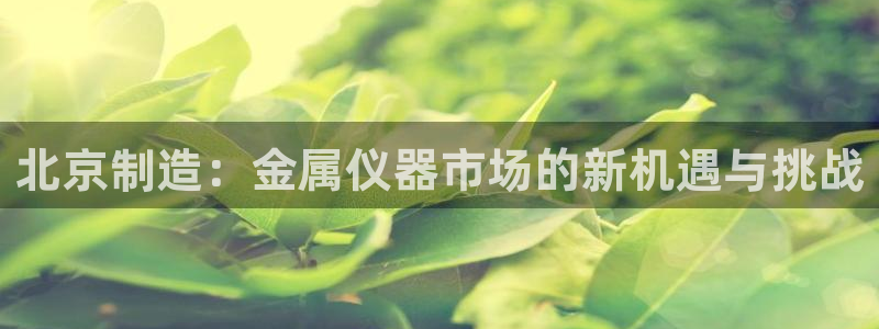 意昂3五金厂：北京制造：金属仪器市场的新机遇与挑战