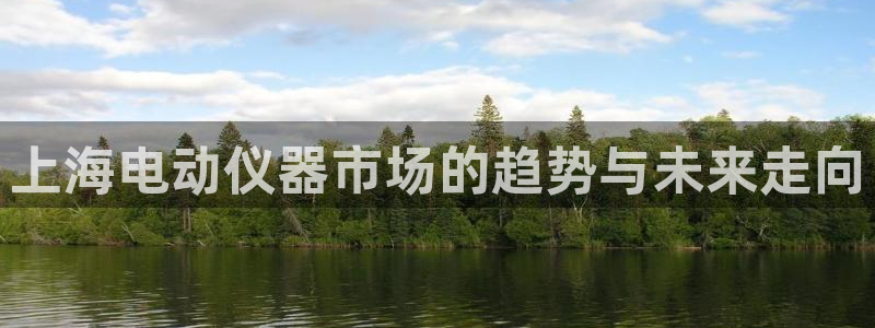 意昂体育3是干嘛的公司：上海电动仪器市场的趋势与未来走向