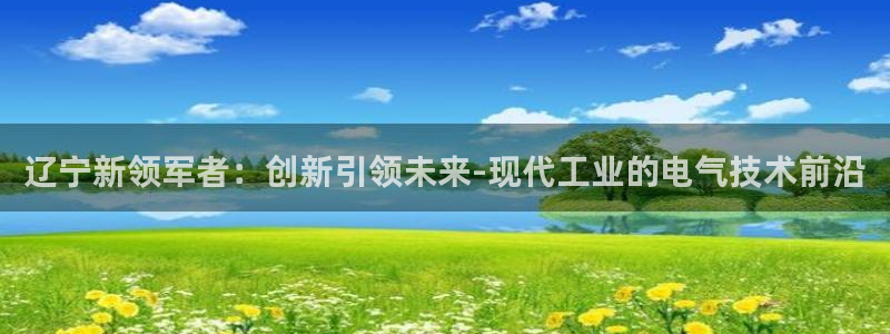 意昂体育3平台是正规平台吗安全吗：辽宁新领军者：创新引领未来