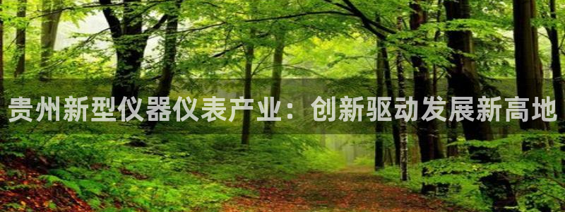意昂体育3平台注册流程视频：贵州新型仪器仪表产业：创新驱动发