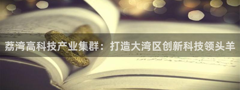 意昂3集团E.ON：荔湾高科技产业集群：打造大湾区创新科技领