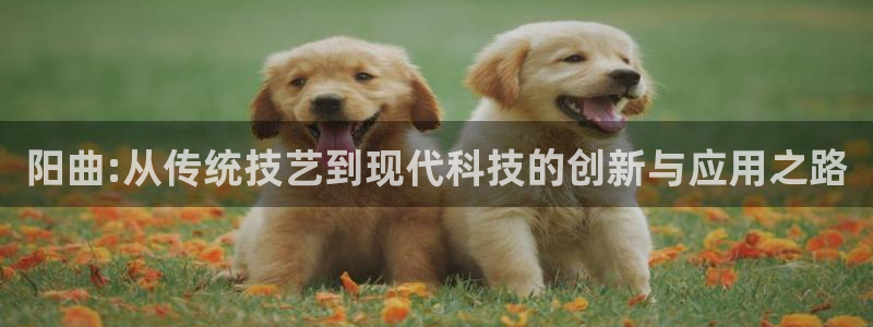 意昂3新能源：阳曲:从传统技艺到现代科技的创新与应用之路
