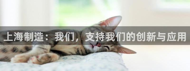 意昂体育3：上海制造：我们，支持我们的创新与应用