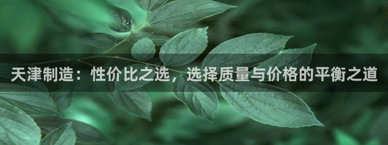 意昂3娱乐代理怎么样：天津制造：性价比之选，选择质量与价格的