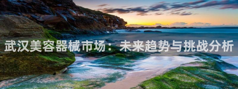 意昂体育3招商电话号码查询：武汉美容器械市场：未来趋势与挑战