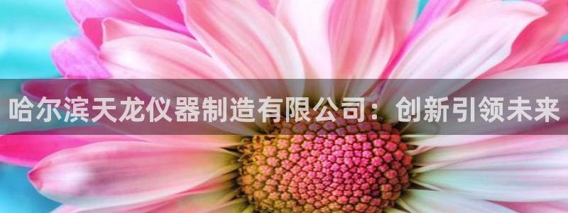 意昂3娱乐是那个系列的台子：哈尔滨天龙仪器制造有限公司：创新