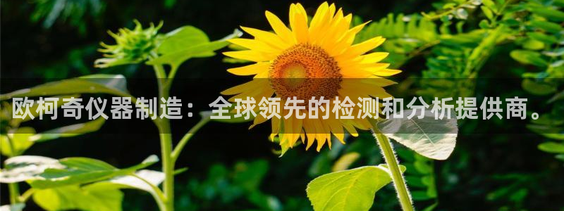 意昂3集团：欧柯奇仪器制造：全球领先的检测和分析提供商。