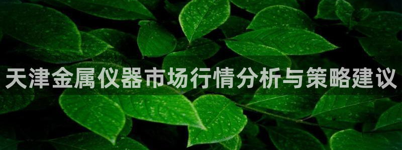意昂体育3平台注册流程视频：天津金属仪器市场行情分析与策略建