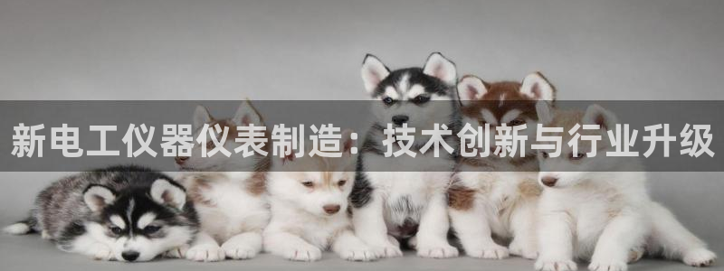 意昂体育3平台注册要钱吗安全吗：新电工仪器仪表制造：技术创新