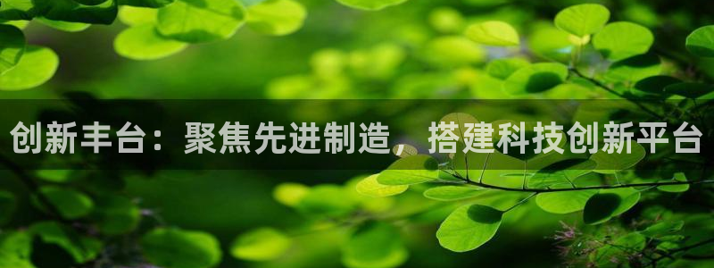 意昂体育3平台注册要钱吗安全吗：创新丰台：聚焦先进制造，搭建
