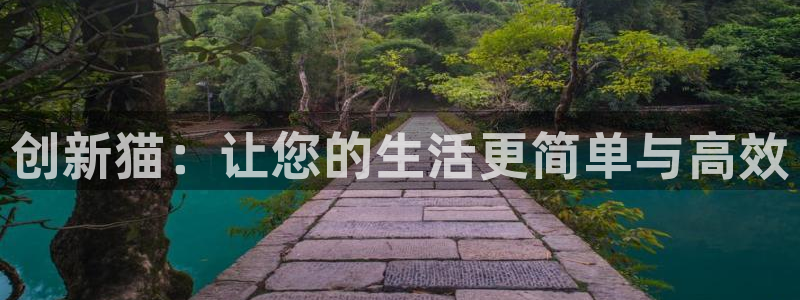 意昂3娱乐代理怎么样：创新猫：让您的生活更简单与高效