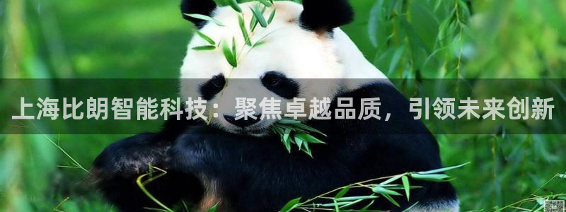 意昂体育3：上海比朗智能科技：聚焦卓越品质，引领未来创新