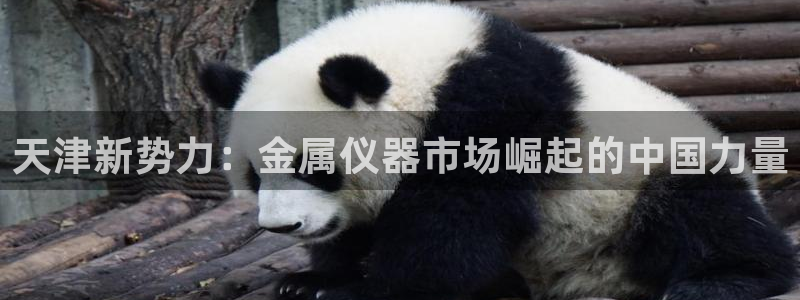 意昂体育3招商电话号码查询是多少：天津新势力：金属仪器市场崛