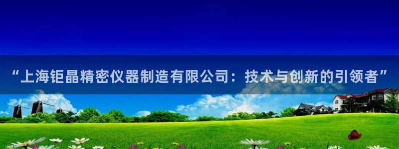 意昂体育3是干嘛的公司：“上海钜晶精密仪器制造有限公司：技术