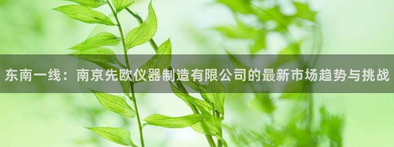 意昂3娱乐首页网站大全：东南一线：南京先欧仪器制造有限公司的