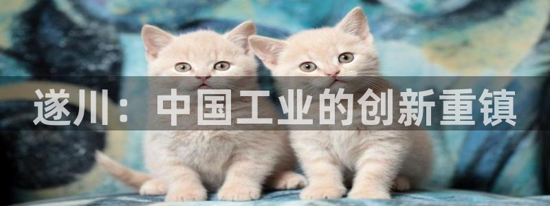 意昂体育3招商电话：遂川：中国工业的创新重镇