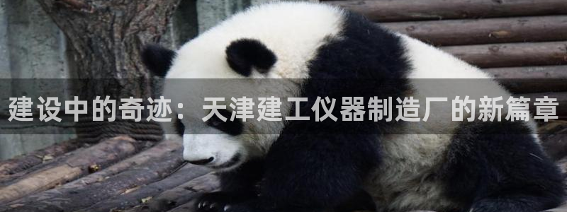 意昂体育3平台APP：建设中的奇迹：天津建工仪器制造厂的新篇
