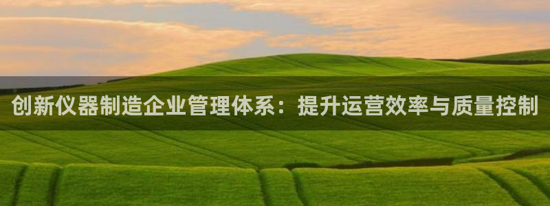 意昂体育3平台是正规平台吗安全吗：创新仪器制造企业管理体系：