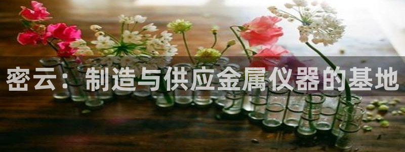 意昂体育3招商：密云：制造与供应金属仪器的基地