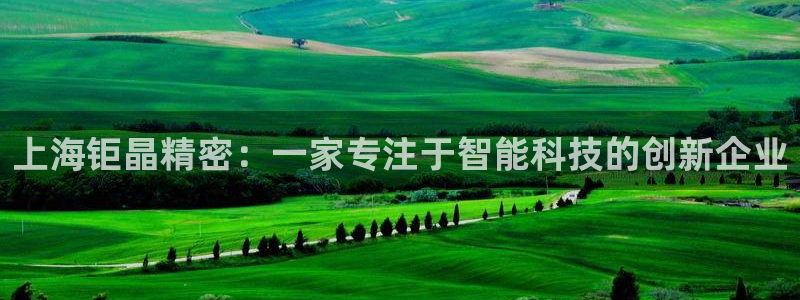 意昂3官方：上海钜晶精密：一家专注于智能科技的创新企业