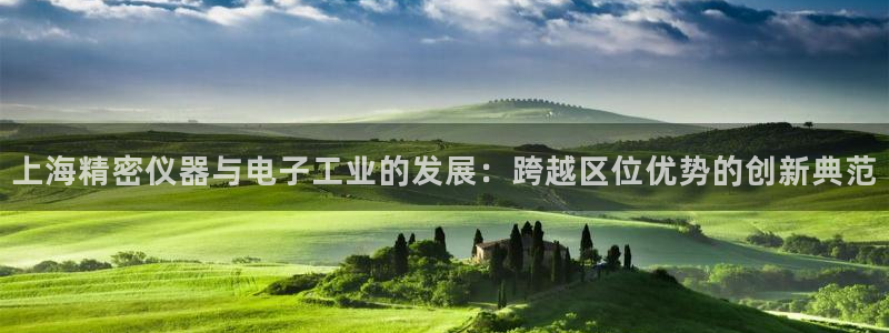 意昂3娱乐网站：上海精密仪器与电子工业的发展：跨越区位优势的