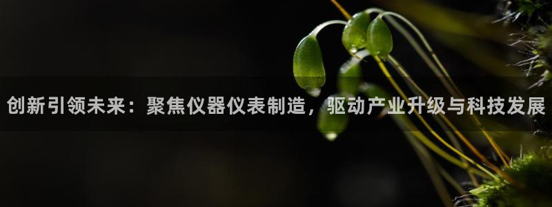 意昂体育3官方客服电话：创新引领未来：聚焦仪器仪表制造，驱动