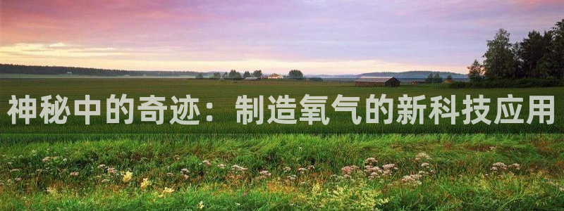 意昂3新能源：神秘中的奇迹：制造氧气的新科技应用
